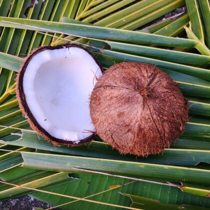 Semi-Husked Coconut