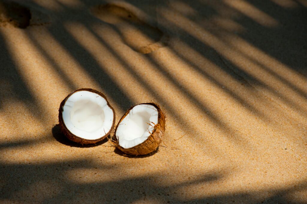 coconut export from india, image of an indian Semi husked coconut .