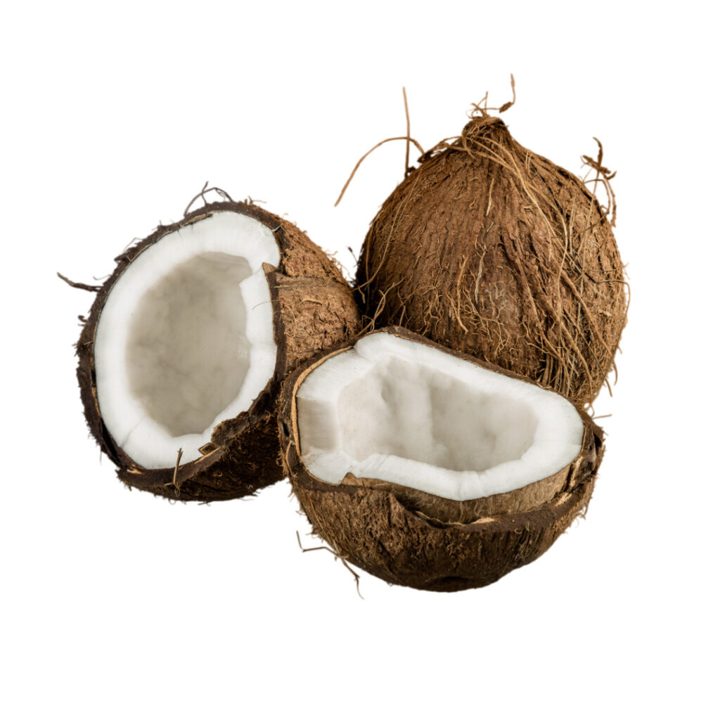 coconut Semi husked - Export Quality