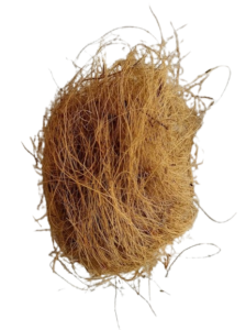 Coco fiber